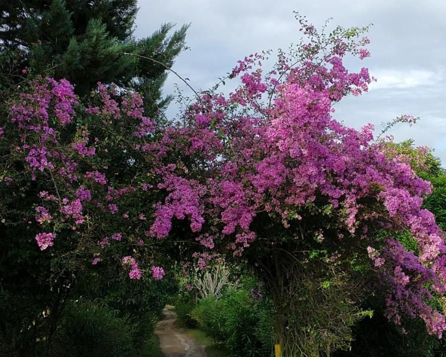 Hotel Fazenda Colibri Amargosa Εξωτερικό φωτογραφία
